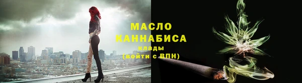 дживик Бородино
