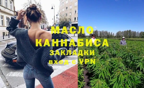 дживик Бородино