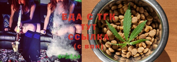 дживик Бородино