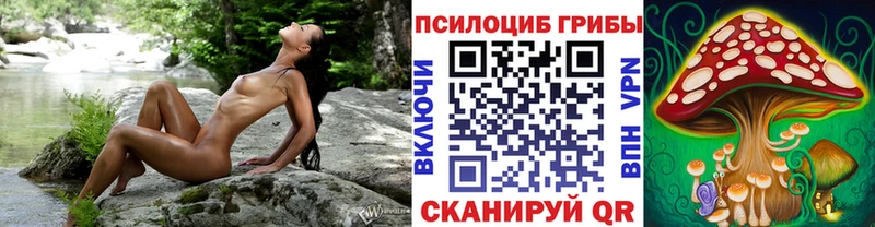 Галлюциногенные грибы Magic Shrooms  Ковров 